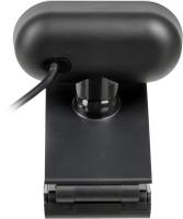 ������ Web A4 PK-925H ������ 2Mpix (1920x1080) USB2.0 � ����������