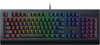 Клавиатура Razer Cynosa v2 (Игровая мембранная клавиатура с подсветкой Chroma) (RZ03-03400700-R3R1)
