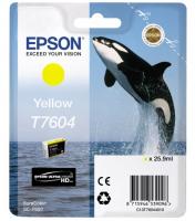  C13T76044010  EPSON SC-P600 ()