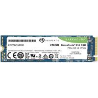   256Gb SSD Seagate BarraCuda 510 (ZP256CM30041)