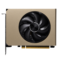  MSI NVIDIA GeForce RTX 5060 INSPIRE ITX OC 8GB GDDR7, Ret