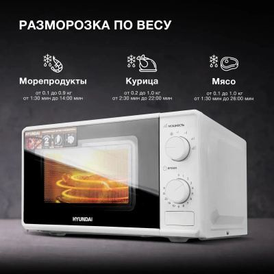 ������������� ���� Hyundai HYM-M2044 20�. 700�� �����