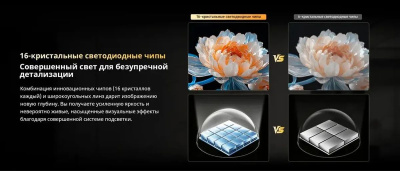 ��������� Skyworth 75" 75X66H Nexo Mini-LED QLED+, 4K Ultra HD, ����� ��, Google TV, ������