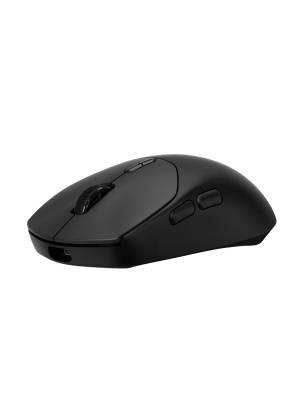 ������� ���� ���������/������������ RAPOO VT1 PRO, ���� - ������