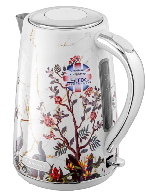 ������ BR6119 ����� BRAYER
