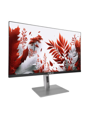 ������� RDW Computers 23.8" RDW2407 ������/����������� IPS 1ms HDMI M/M HAS Piv 300cd 178��/178�� 1920x1080 120Hz VGA DP FHD USB (RUS)