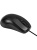 Мышь ExeGate Professional Standard B100L (USB, оптическая, 1000dpi, 3D, 3 кнопки и колесо прокрутки, длина кабеля 2м, черная, Color Box) EX298196RUS Мышь ExeGate Professional Standard B100L (USB, оптическая, 1000dpi, 3D, 3 кнопки и колесо прокрутки, длина кабеля 2м, черная, Color Box) EX298196RUS
