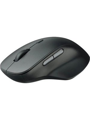 ���� ������������ RAPOO M50 Plus Silent, ���� - ������