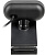 ������ Web A4 PK-925H ������ 2Mpix (1920x1080) USB2.0 � ����������