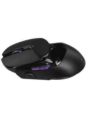 ������� ���� ���������/������������ RAPOO VT960 PRO, ���� - ������