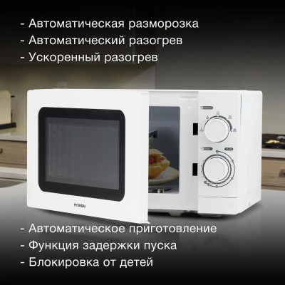 ������������� ���� Hyundai HYM-M2064 20�. 700�� �����