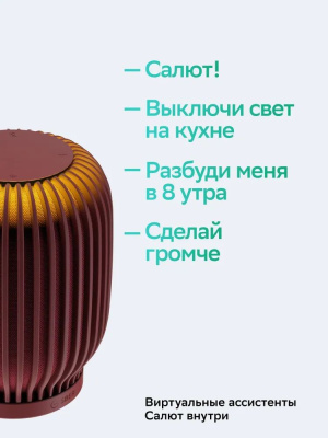 ������������ ������� ����� SberBoom ������ SBDV-00090, ���� ������������, �������� ����� SBER