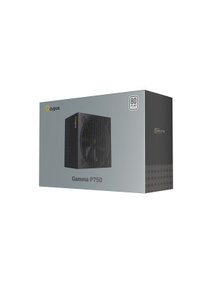 ���� ������� Ocypus Gamma P750, 750W, APFC, 80+, 120mm Fan (P750-W)