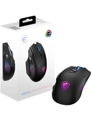���� ������������ MSI VERSA PRO W ������