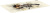 ������ ��� ���� Cactus Musical 900x400x4�� (CS-MP-COR02XXL)