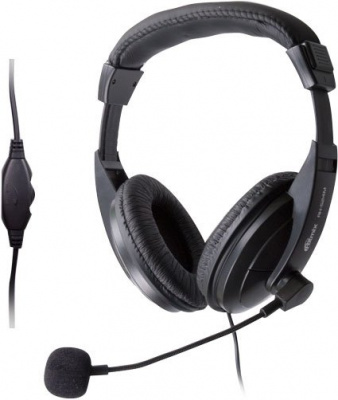 ��������� Ritmix RH-524M Black