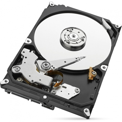 ������� ���� Seagate SkyHawk 3.5" 1Tb SATA III, 64Mb, 5900rpm ST1000VX005