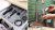 ��������� Bosch MFWS607W �����