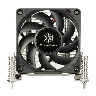 ���������� ��� ���������� Silverstone SST-AR10-1700 G530AR101700010
