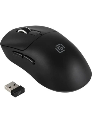���� ����� 800GMW ������ ���������� 10000dpi �������. BT/Radio USB 6but