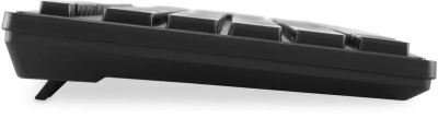 ���������� + ���� ����� S255W ����:������ ����:������ USB ������������ Multimedia (1909361)