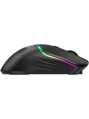 ���� ����� 775GW ������ ���������� 5000dpi �������. BT/Radio USB/USB-C 6but