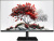 ������� RDW Computers 27" RDW2701K ������ IPS