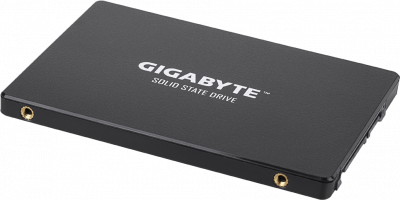 ������������� ���������� 256Gb SSD Gigabyte (GP-GSTFS31256GTND)