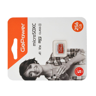 ����� ������ microSD GoPower 256GB Class10 UHS-I (U3) 100 ��/��� V30 ��� ��������