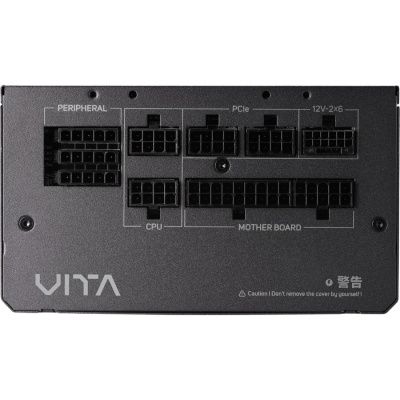 ���� ������� FSP VITA-1000GM