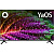 ��������� LED BBK 50" 50LEX-8231/UTS2C (B) ������.�� ������ 4K Ultra HD 50Hz DVB-T2 DVB-C DVB-S2 WiFi Smart TV (RUS)