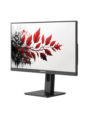 ������� RDW Computers 27" RDW2701K ������ IPS 5ms HDMI M/M HAS Piv 300cd 178��/178�� 1920x1080 120Hz VGA DP FHD (RUS)