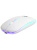 Мышь оптическая беспроводная DEFENDER Coda MB-261 white (2.4ГГц+BT,радужн,300мАч) (52262) Мышь оптическая беспроводная DEFENDER Coda MB-261 white (2.4ГГц+BT,радужн,300мАч) (52262)