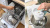 Кухонная машина Bosch MUMS6EW00 планетар.вращ. Кухонная машина Bosch MUMS6EW00 планетар.вращ.