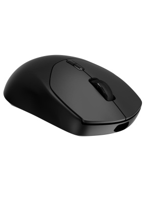 ������� ���� ���������/������������ RAPOO VT1 PRO, ���� - ������