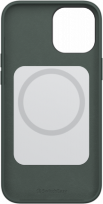  SwitchEasy GS-103-123-224-175   iPhone 12 Pro Max