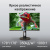 ������� Digma 27" Progress 27P505Q ������ IPS LED