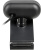 ������ Web A4 PK-925H ������ 2Mpix (1920x1080) USB2.0 � ����������
