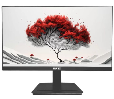 ������� RDW Computers 23.8" 2401K FHD IPS 4ms 100Hz ������ (2401K/F08B3100V3A1H)