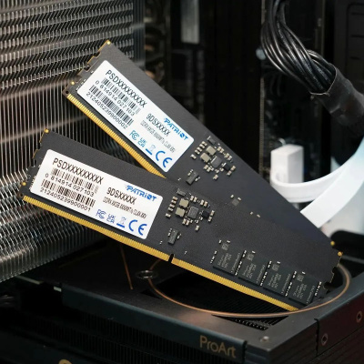 ������ DDR5 16GB 6400MHz Patriot PSD516G64081C Signature RTL 
