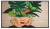 Телевизор 43" Philips 43BDL4511D VA 3840x2160 16:9 8ms 178/178 500cd 1200:1 2*HDMI DVI DP 2*USB2.0 RJ45 RS232C IR Speakers 24/7 Failover Android 8 Телевизор 43" Philips 43BDL4511D VA 3840x2160 16:9 8ms 178/178 500cd 1200:1 2*HDMI DVI DP 2*USB2.0 RJ45 RS232C IR Speakers 24/7 Failover Android 8