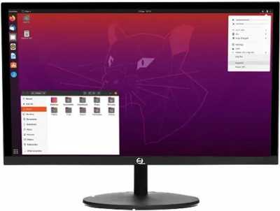 ������� 23.8" RDW Computers RDW2401K ������ IPS 5ms 16:9 HDMI ������� 1000:1 250cd 178 ��/178 �� 1920x1080 D-Sub DisplayPort (RUS)