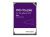 ������� ���� SATA  1TB WDC PURPLE WD11PURZ