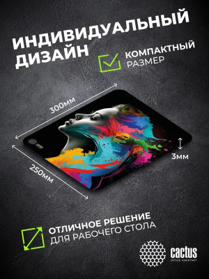 ������ ��� ���� Cactus Color paint 300x250x3�� (CS-MPC-D08M)