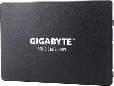 ������������� ���������� 256Gb SSD Gigabyte (GP-GSTFS31256GTND)