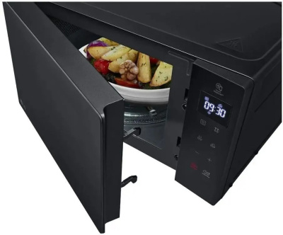 ������������� ���� 20L SOLO BLACK MS2032GAS LG