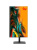 �������� iRU Tactio 24ID, 24.5" (1920x1080) IPS/Intel Core i5-12400/16 DDR4/512 �� SSD/Intel UHD Graphics/Windows 11 Pro, ������ (2170351)