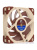 ����� ��� ������� Noctua NF-A12x25 FLX (120x120x25mm, 3-pin, 49.7CFM, 22.6dBA, 2000RPM, Beige/Brown)