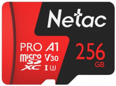 ����� ������ 256Gb MicroSD Netac P500 Extreme Pro (NT02P500PRO-256G-S), Retail version card only